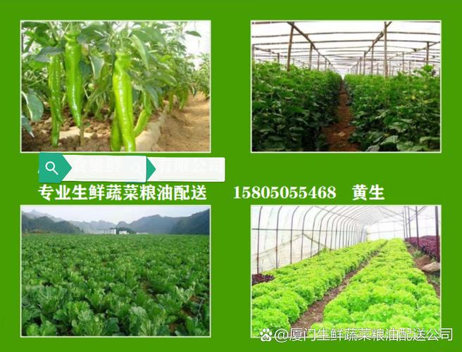 多元场景下的配送服务 从工厂车间到境外工地的无缝覆盖